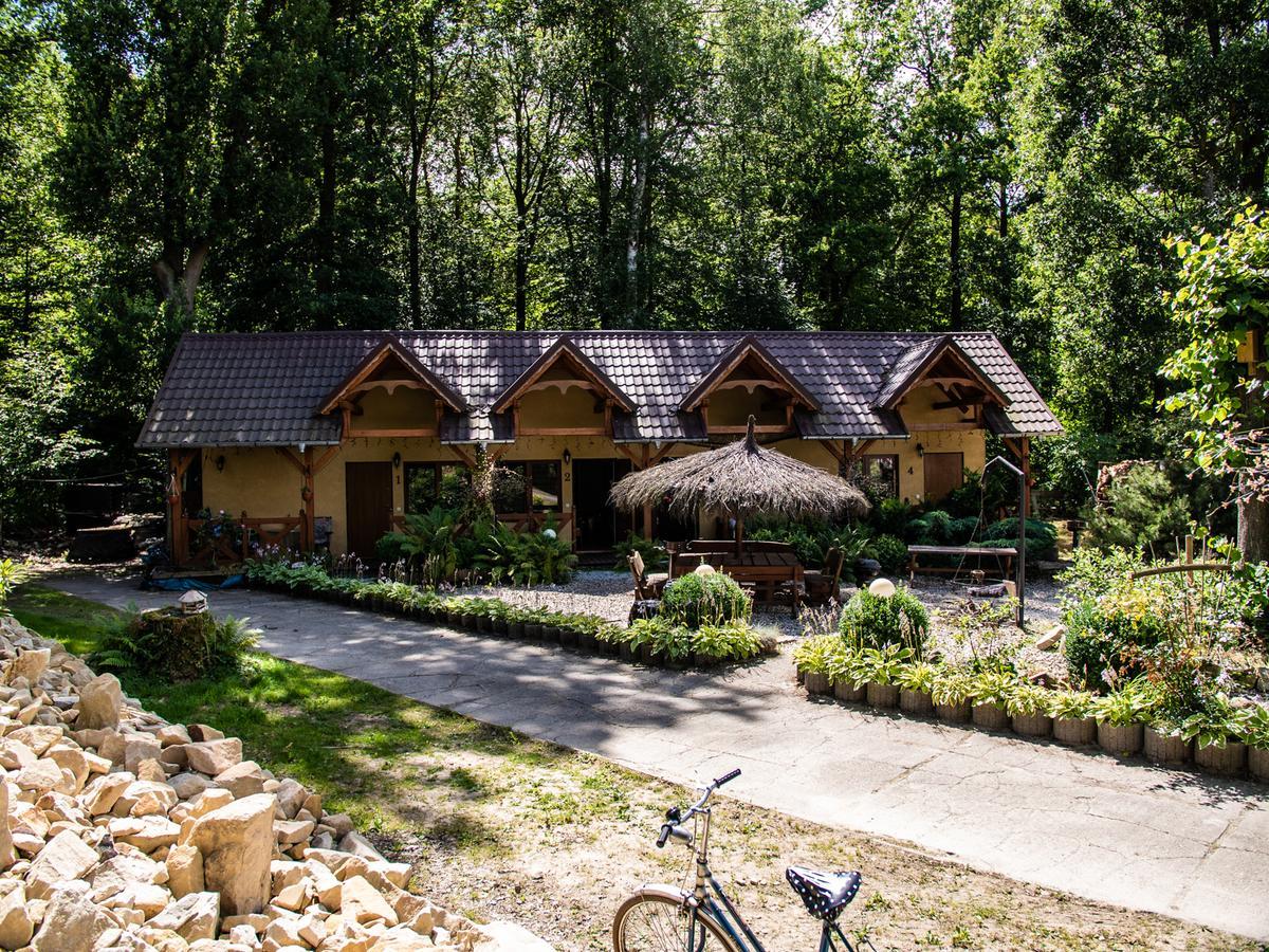 Agromurena Gryfów Śląski المظهر الخارجي الصورة